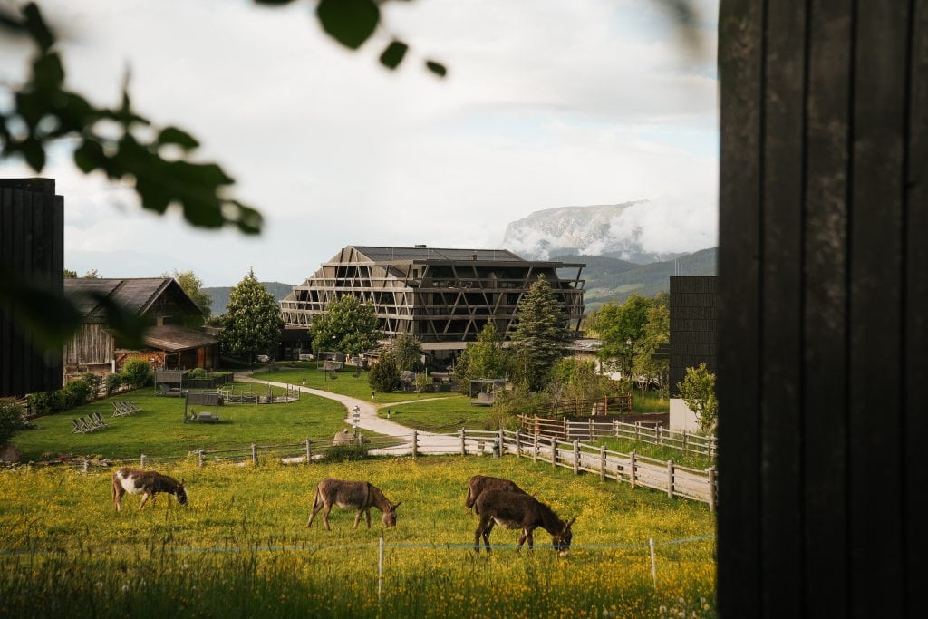 Grüne Wiese mit Kühen und Bergen_Aussenansicht Green Luxury Hotel Pfösl in Südtirol