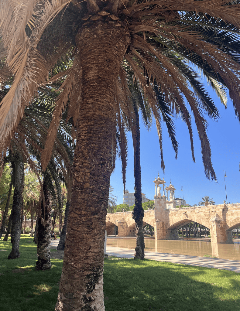 Turia Park in Valencia_Christina Mendi